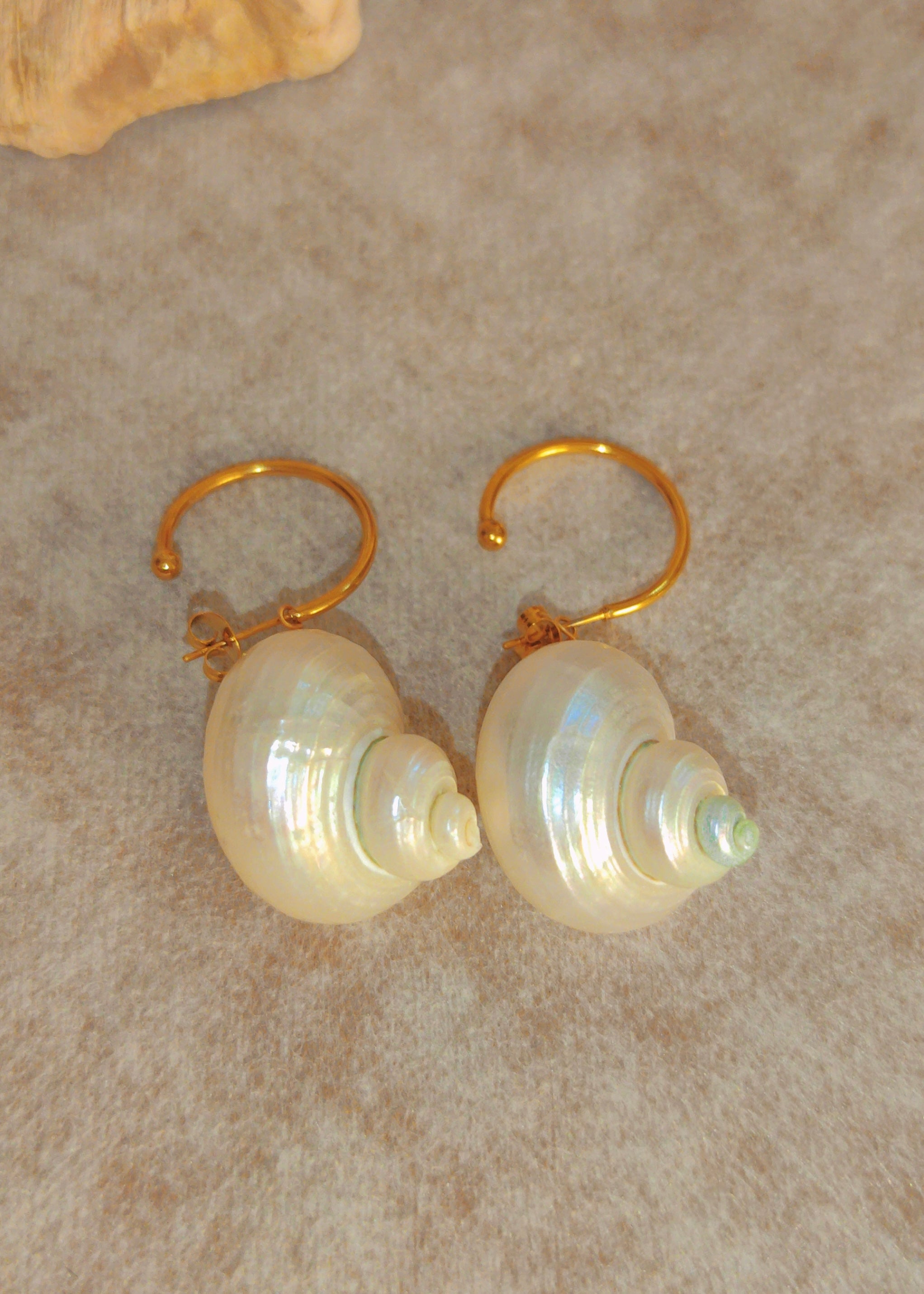 Ocean Muse Shell Drops