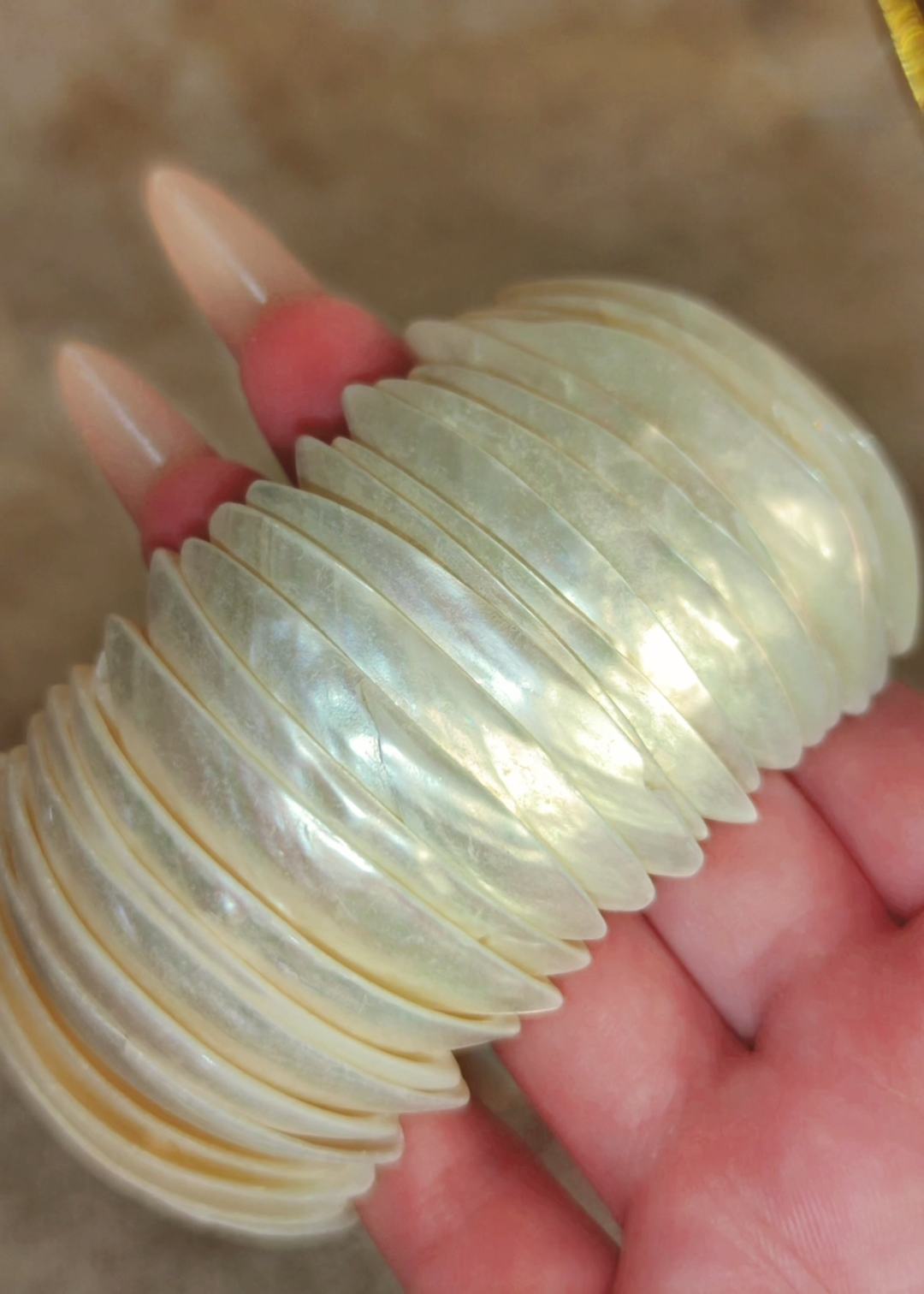 Ocean Muse Shell Cuff