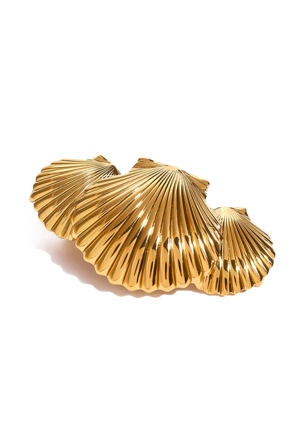 Venus Shell Clip